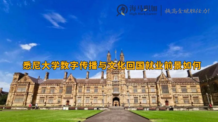 悉尼大学数字传播与文化回国就业前景如何