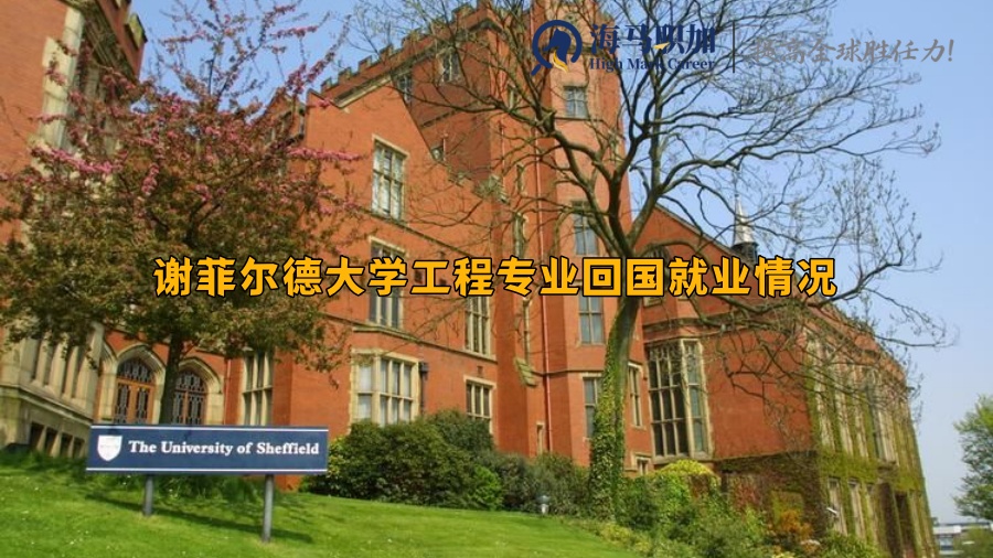 谢菲尔德大学工程专业回国就业情况