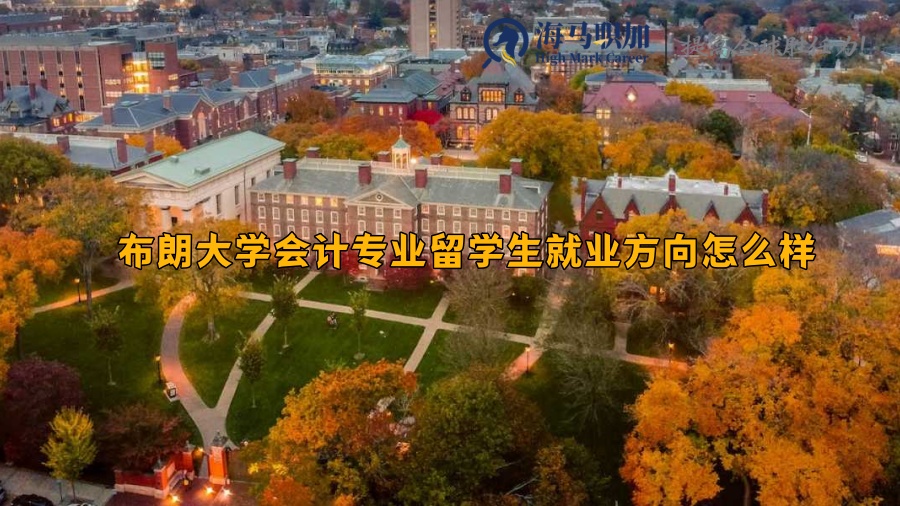 布朗大学